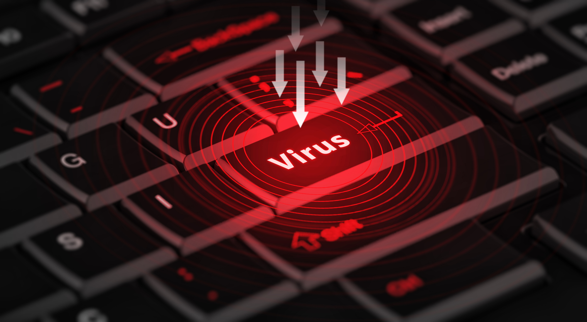 Computer Virus Support
